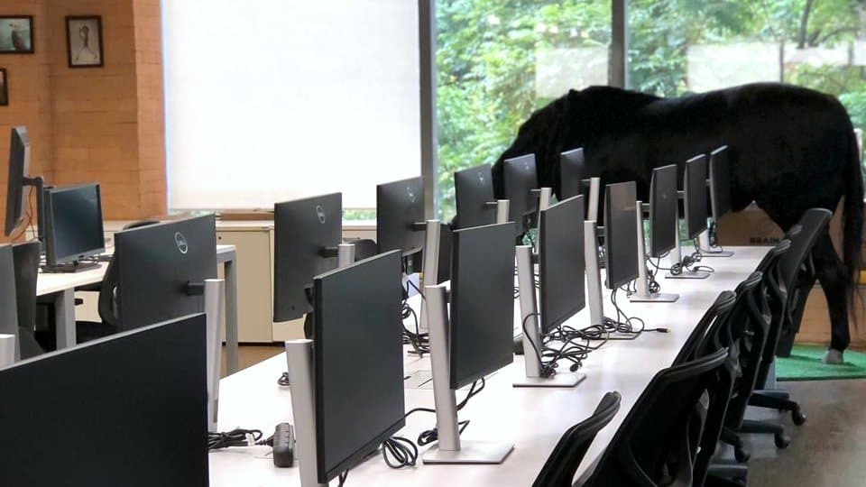 Sala de treinamento montada pela Brain com estações completas